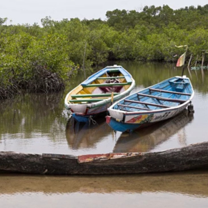 Design sans titre (52)