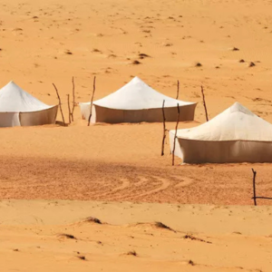 Design sans titre (54)