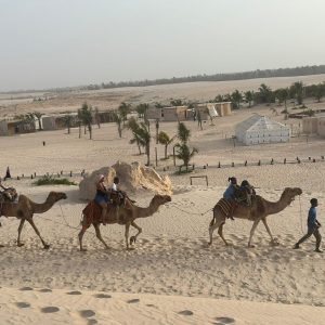 WhatsApp Image 2025-08-25 à 08.53.52_5b26c917